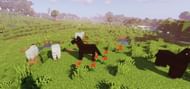 A large Plains biome with nearby tree access for wood (Image via Minecraft)